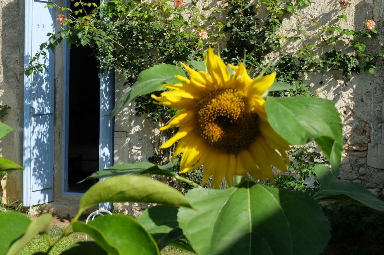 Chambres D'Hotes Dans Maison D'Artiste Galargues Bagian luar foto
